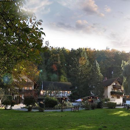 Hotel Restaurant Paradeismuehle Klingenberg am Main Buitenkant foto
